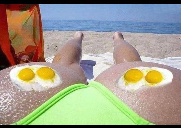 Котик на море