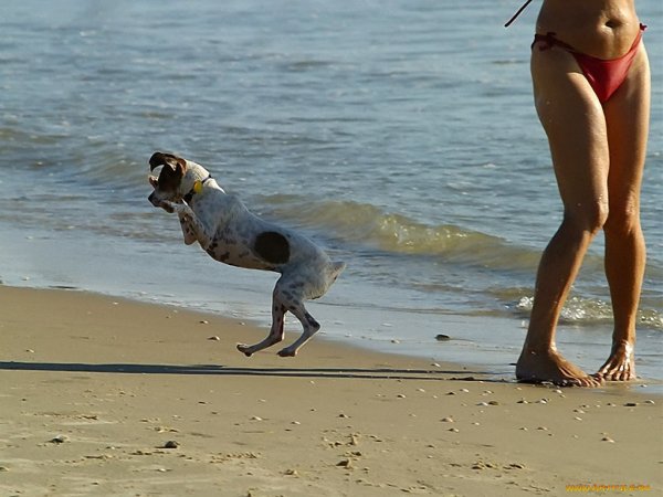 Приколы про море