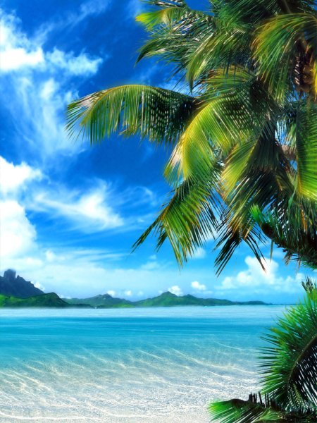 Красивые обои море