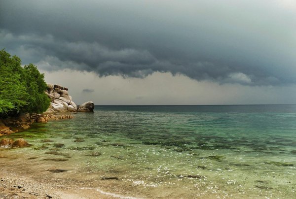 Дождь над морем