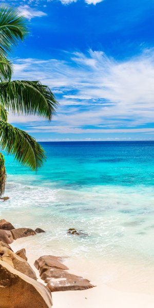 Тропический пляж