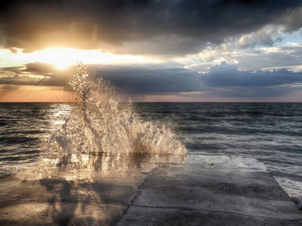 Утро море дождь