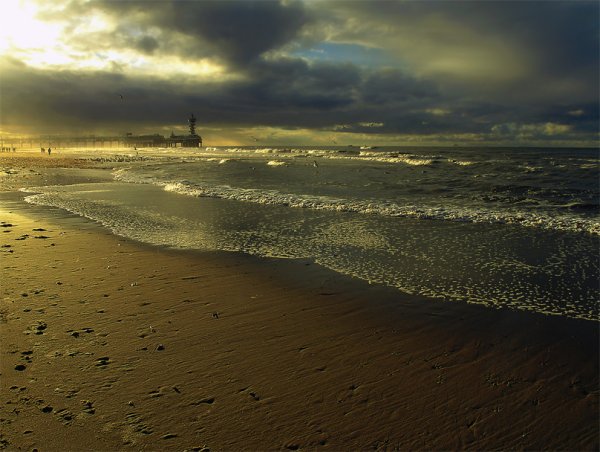 Побережье океана в дождь