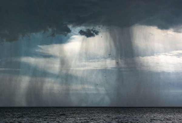 Дождливое море