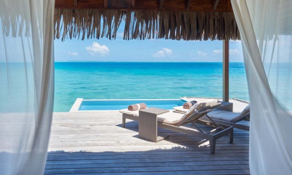 Пальмы и океан