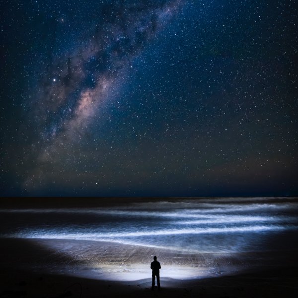 Ночь звезды