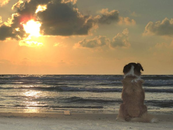 Дождь на море