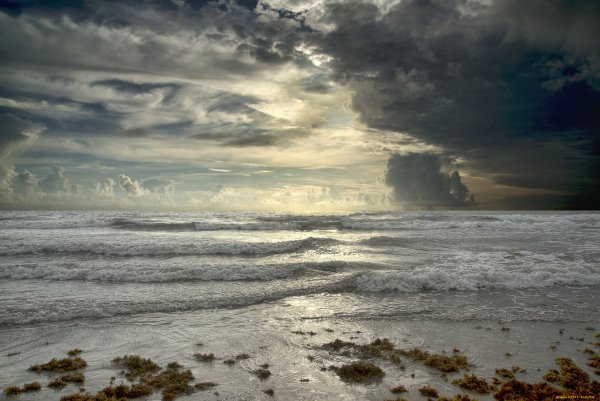 Шторм на берегу моря
