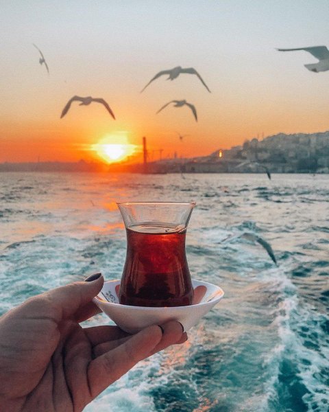 Чаепитие на фоне моря