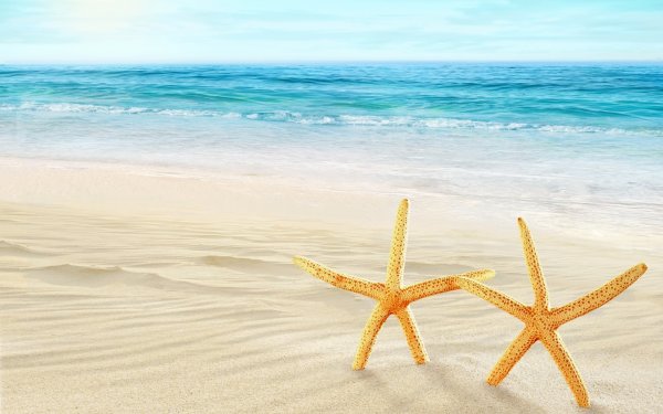 Laguna "морская звезда"