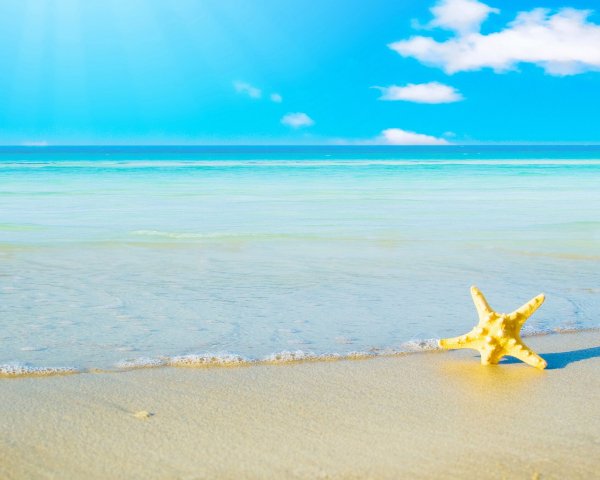 Фон острова с пальмами