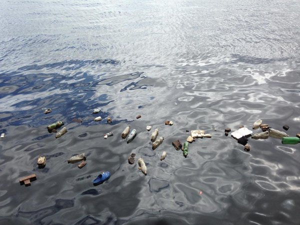 Загрязнение морей и океанов