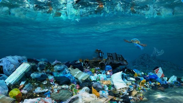 Загрязнение мирового океана
