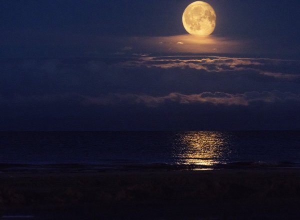 Ночное море