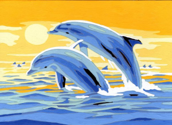 Дельфин красками