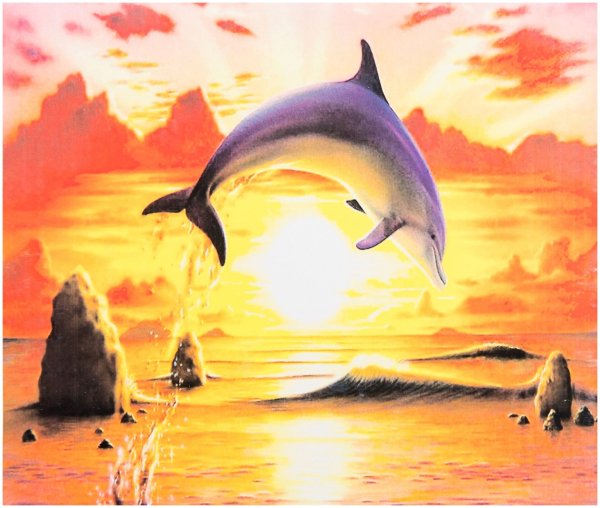 Морской пейзаж с дельфинами