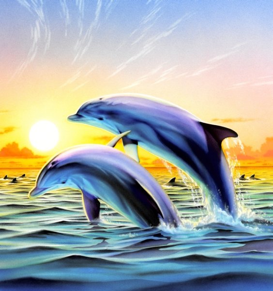 Пейзаж с дельфинами