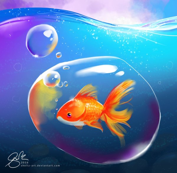 Золотая рыбка