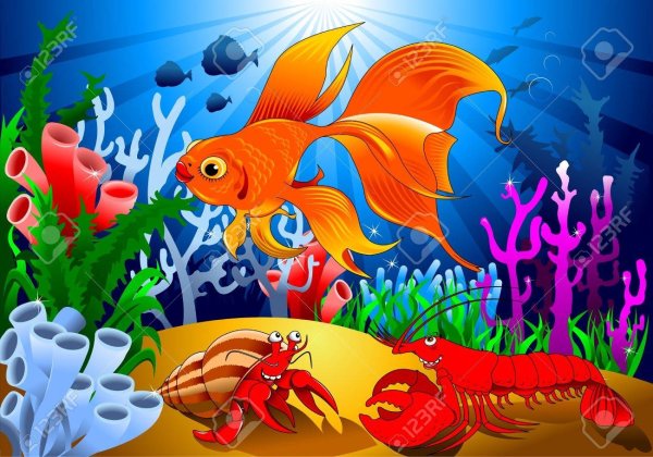 Царство золотой рыбки