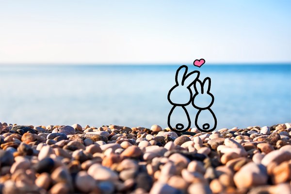 Зайчики на берегу моря