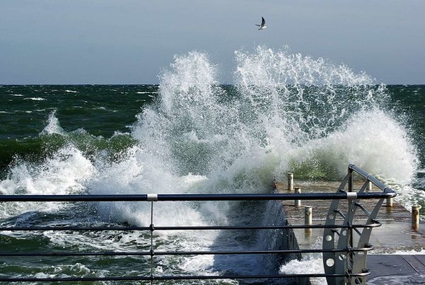 Умеренный ветер на море