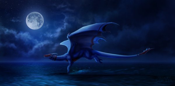 Драконы ночи