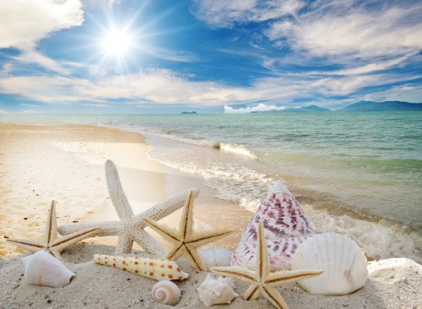 Поздравительные открытки с морем