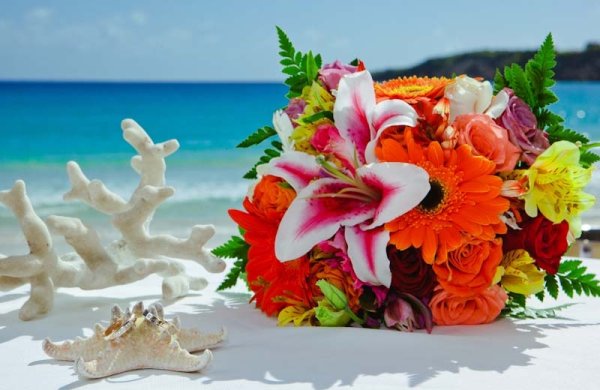 С днем рождения море