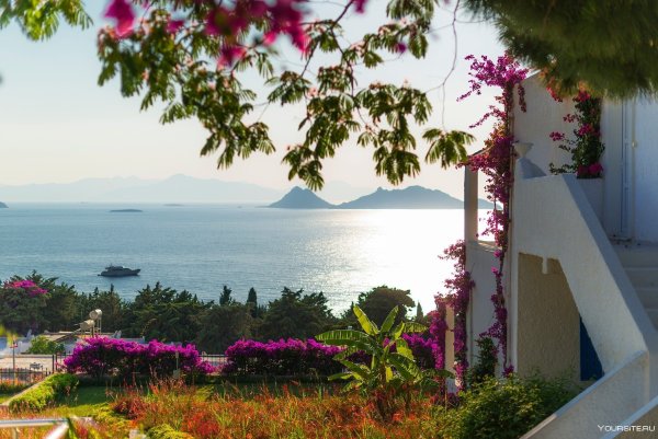 Норвегия Олесунн панорама