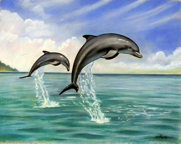 Дельфин рисунок