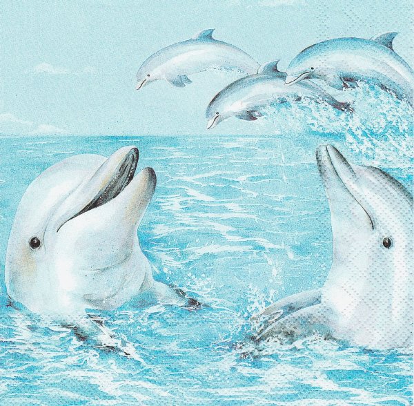 Дельфины цветными карандашами