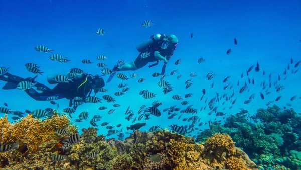Глубина красного моря в Хургаде