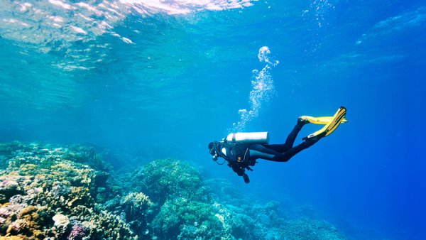 Мыс Тарханкут дайвинг