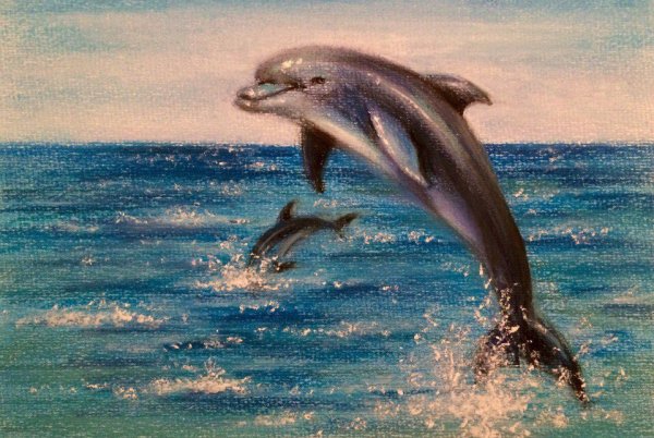 Дельфин над морем иллюстрации