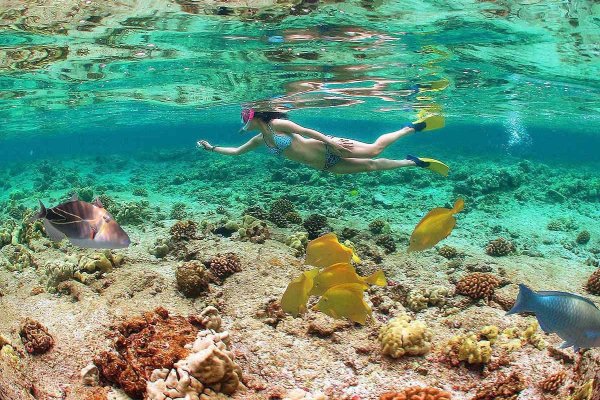 Коралловый риф Куба снорклинг