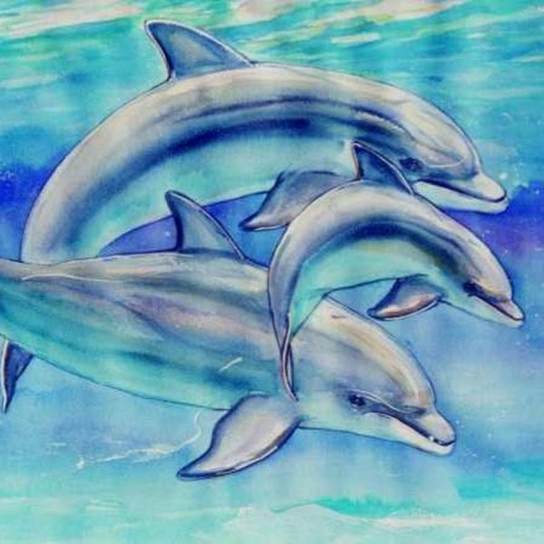 Дельфины рисование