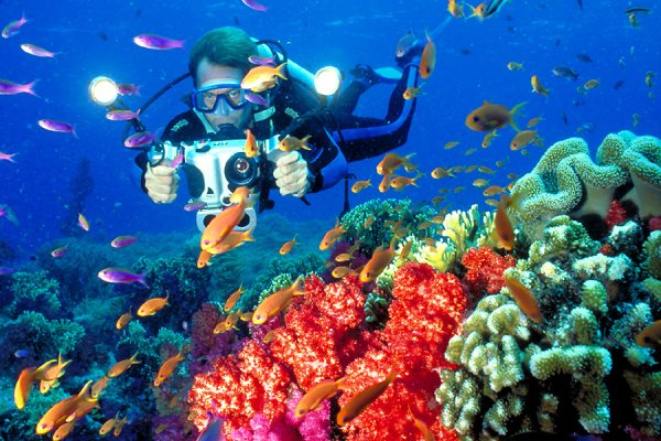 Риф Шарм-Эль-Шейх