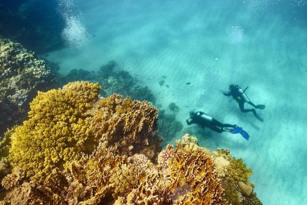 Красное море Египет Шарм-Эль-Шейх