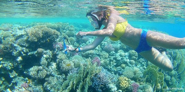 Рас Мухаммед Египет