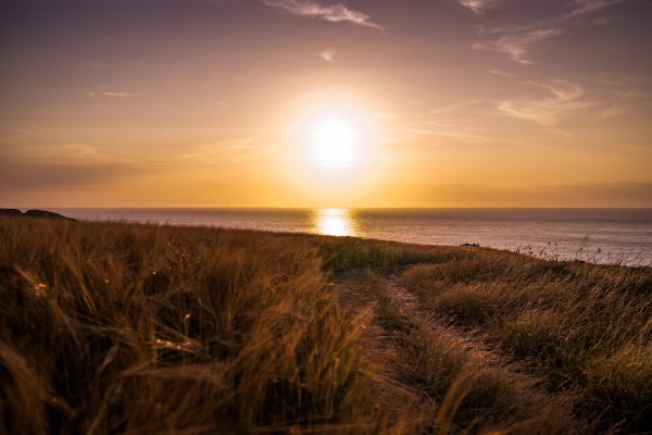 Восход солнца поле море