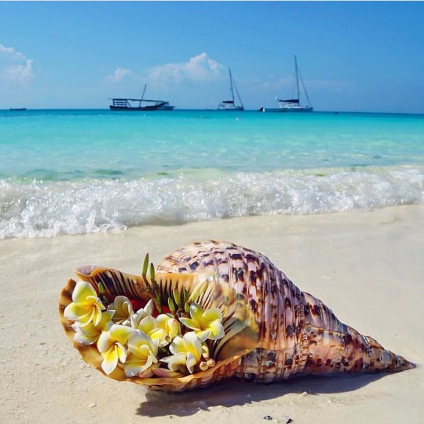 Статус хочу на море