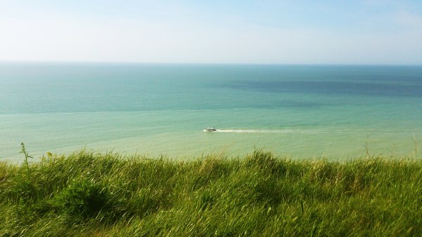 Травянистый берег моря