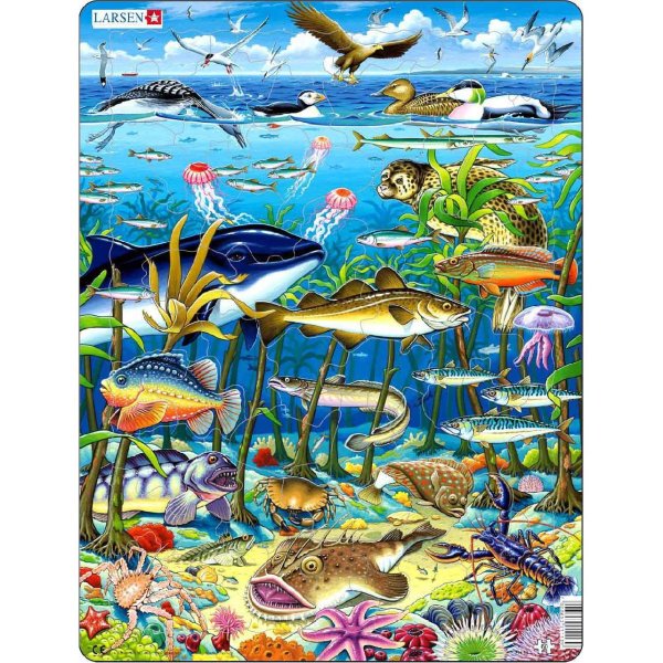 Пазл Larsen fh13 водоросли