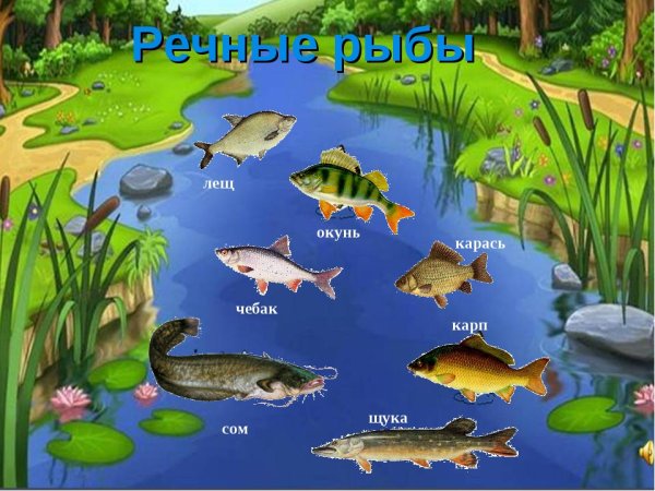 Обитатели рек