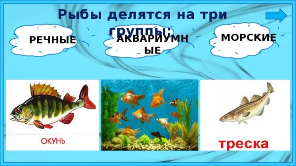 Пальчиковая гимнастика морские обитатели