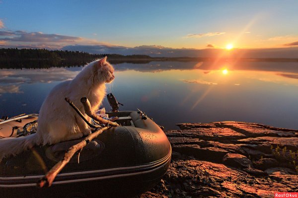 Рыбак на пирсе