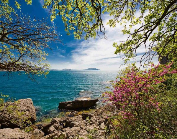 Южный берег Крыма весной