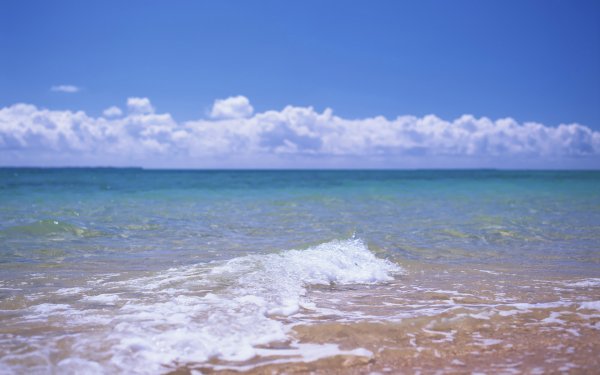 Море в большом формате