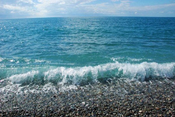 Черное море Сочи