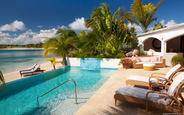 Бассейн пальмы